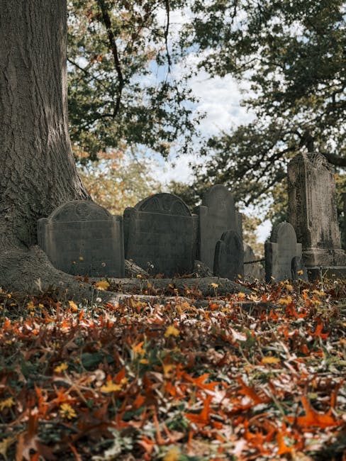 Gisselle Ankunding V